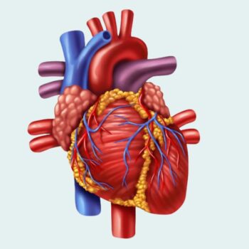 Cardiac Profile-A
