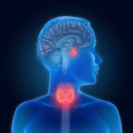 Thyroid Stimulating Hormone (TSH)