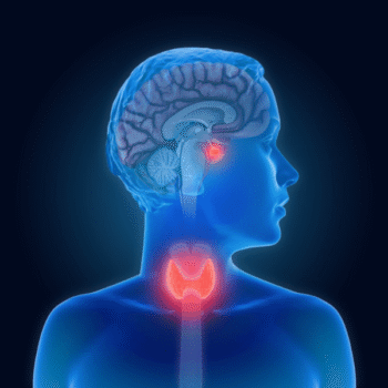 Thyroid Stimulating Hormone (TSH)