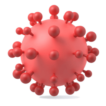 Dengue NS-1 Elisa