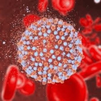 HCV Qualitative