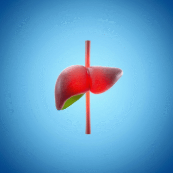 Liver Function Test (LFT) – Comprehensive Panel