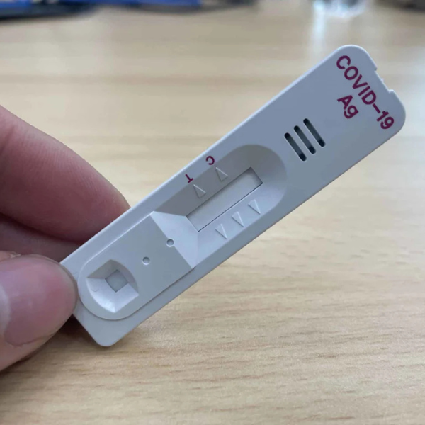 Untitled design (40)